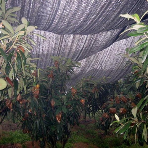 Kebaikan Jaring Teduh untuk Penanaman Sayuran