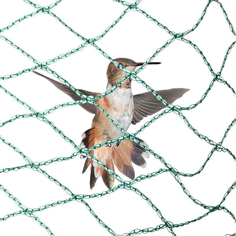 Apakah faedah jaring anti-burung?