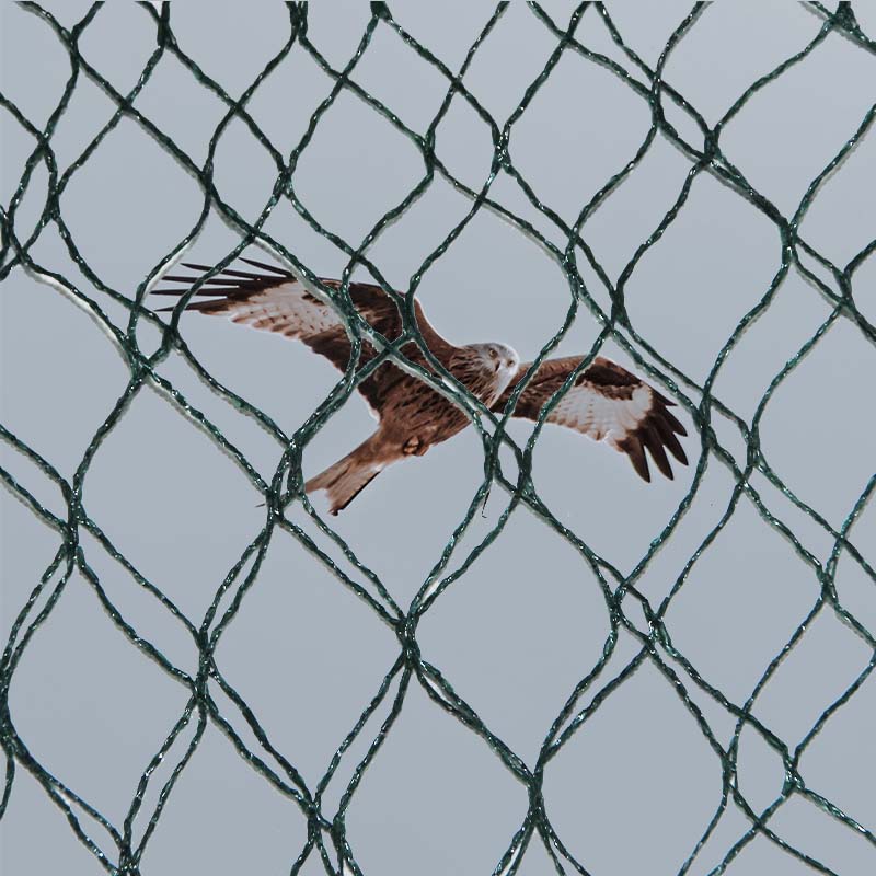 Apakah pilihan bahan dan kelebihan dan kekurangan pukat pencegahan burung?