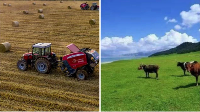 Aplikasi balutan jaring bale dalam aktiviti pertanian