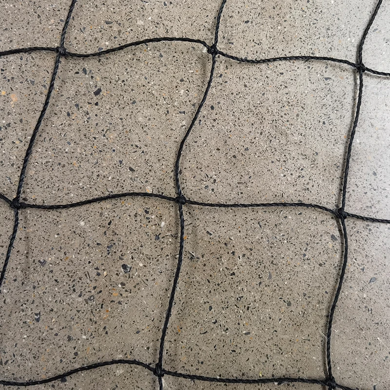 Peranan jaring kriket