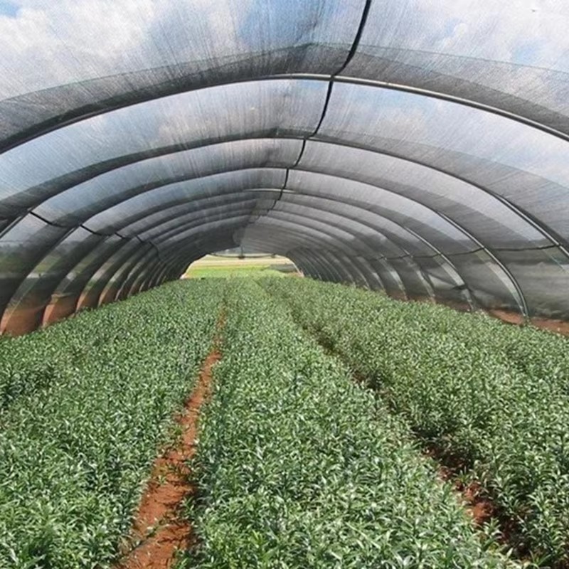 Adakah kesan penyejukan kain teduh baik?