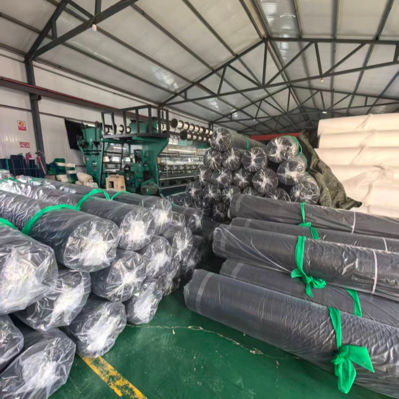 Plastik Berganda: Adegan Penghantaran Kargo Sibuk Menunjukkan Kekuatan Teguh