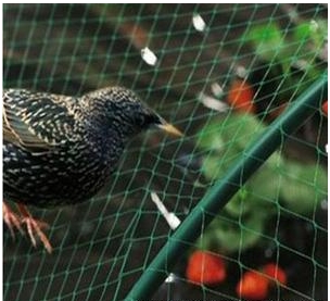 Jaring Anti Burung Untuk Balkoni