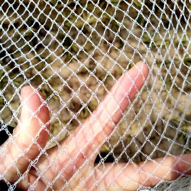 Jaring Perlindungan Burung Polietilena Anti-Hail dengan Potongan Tersuai Jaring Plastik untuk Pertanian