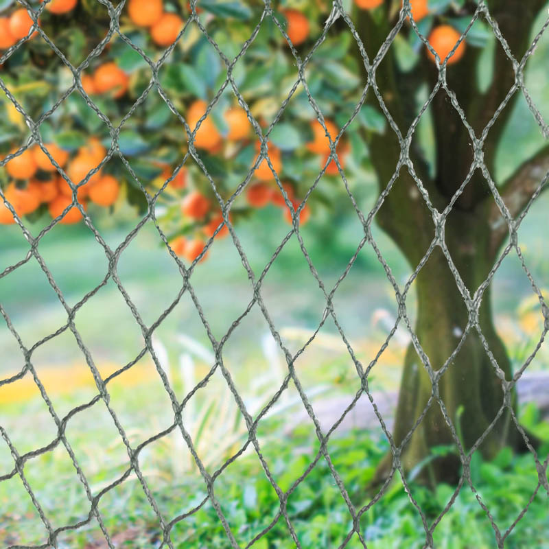 Penghalang Haiwan Jaring Burung