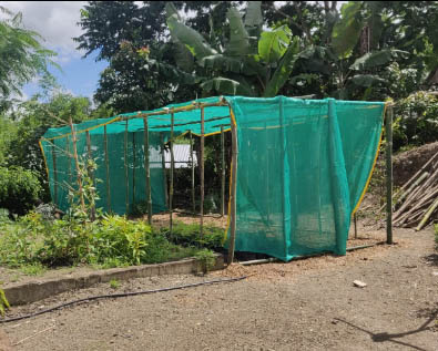 Jaring Teduh Matahari Hijau HDPE