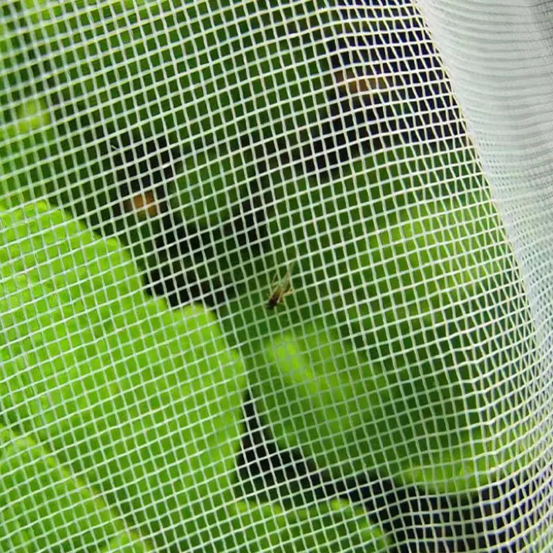 Insect Net untuk Windows