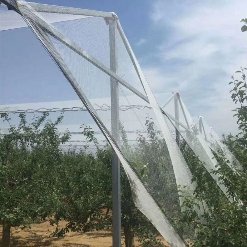 Jaring Anti Hujan Batu Pelindung Pokok